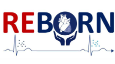 Reborn Project Logo