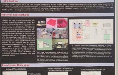 Poster Fundacion PTS