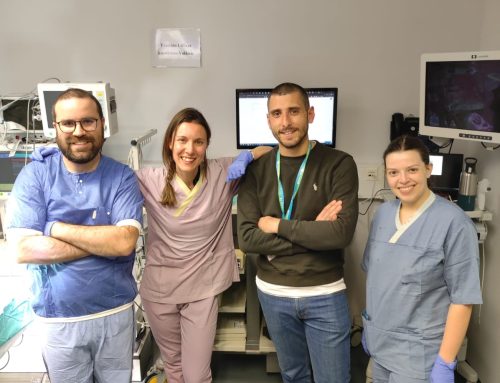 In Vivo Testing of REBORN Cardiac Patch Begins in Porto